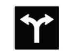 Left Or Right Turn Only 